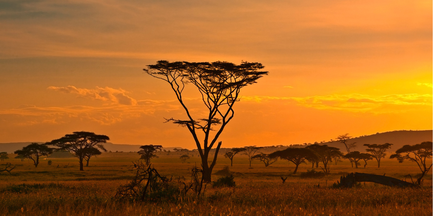 Afrique Paysage Archives Voyages Cartes