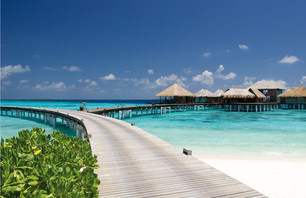 Coco Palm Bodu Hithi